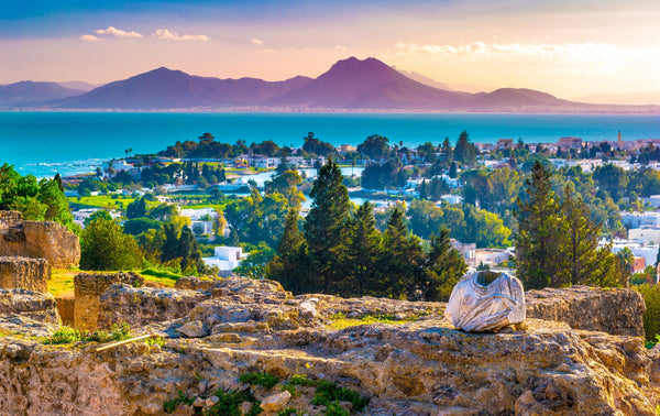 Exploring the Ruins of Ancient Carthage